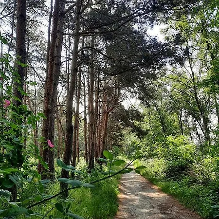 Guest house De Boogschutter - De Perenboom 3*