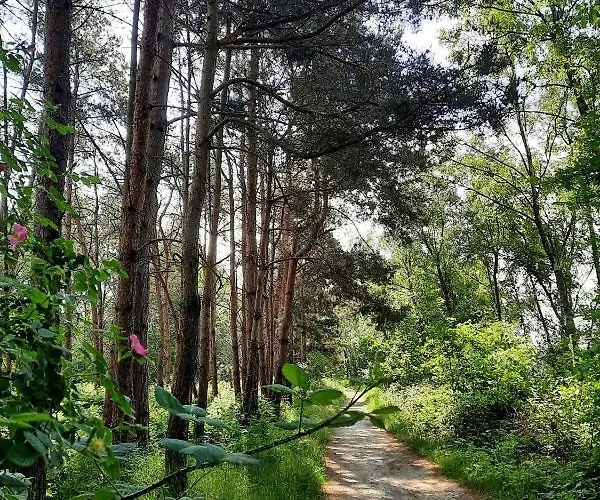 게스트하우스 De Boogschutter - De Perenboom 3*