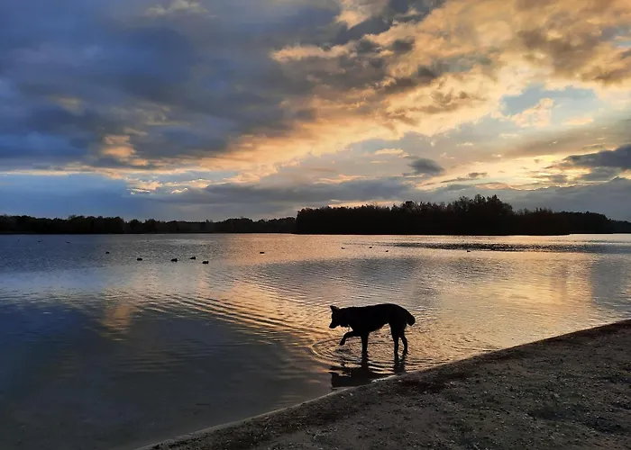 게스트하우스 De Boogschutter - De Perenboom Langenboom