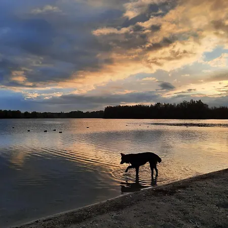 Pensjonat De Boogschutter - De Perenboom Langenboom